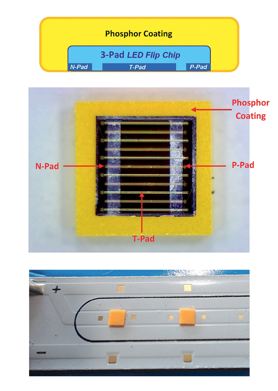 Figure 4.jpg