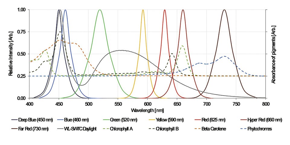 Figure 2.jpg