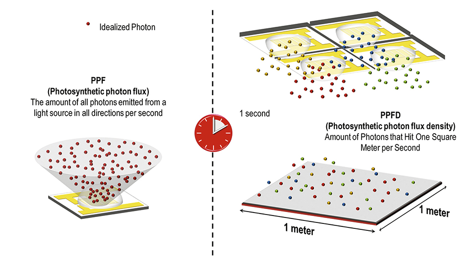 Figure 3: PPF is a productrelated parameter that influences the PPFD in the target application