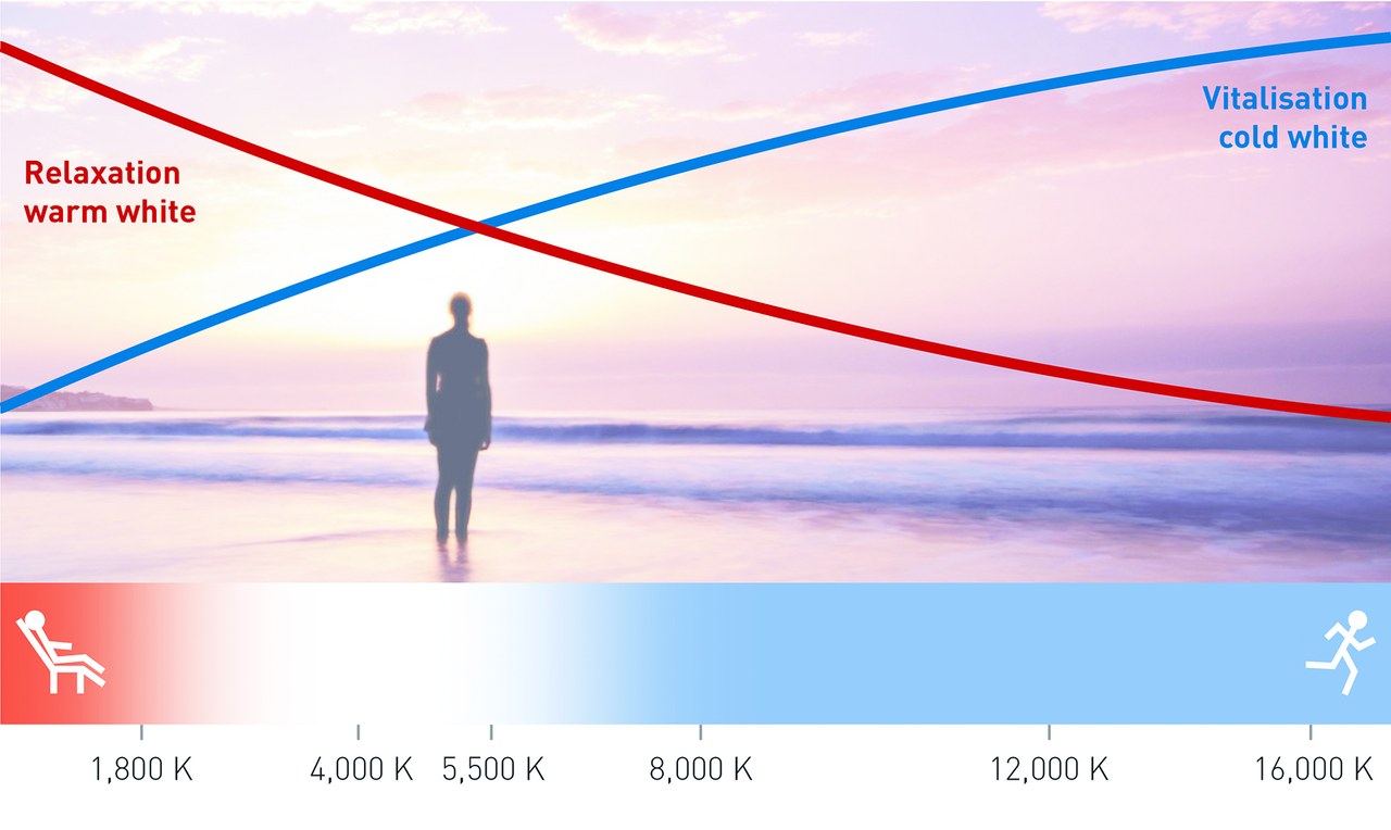 Figure 2: The effect of different CCTs on humans