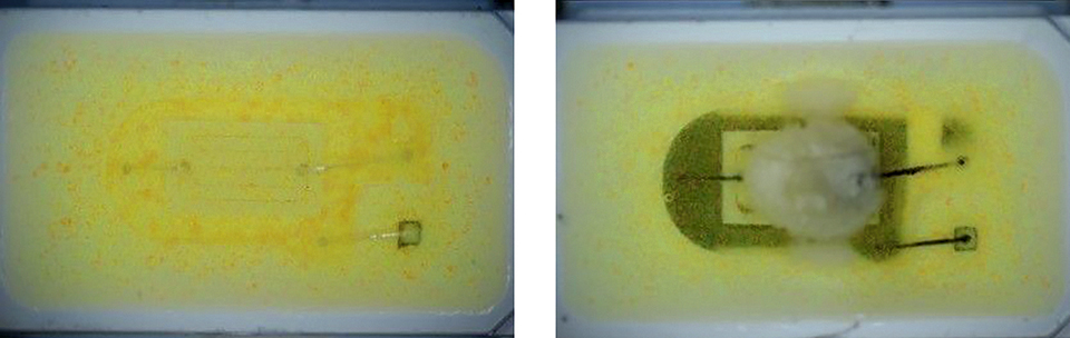 Figure 3: Degradation of a mid-power LED due to operation in pure air (left) and in air with 10 ppm H2S trace gas (right)