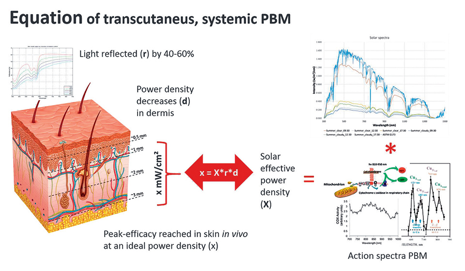 Figure 2: Equation for PBM