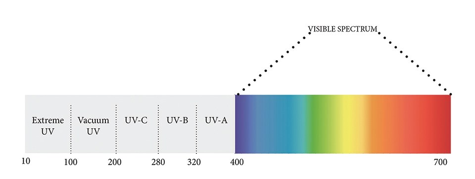 Figure 1.jpg