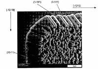 Photographs of portions of diodes