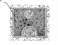 SEM image of a light extracting LED