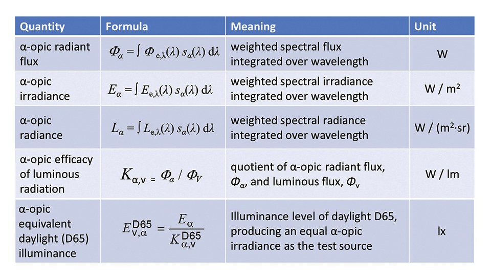 Figure 2.jpg