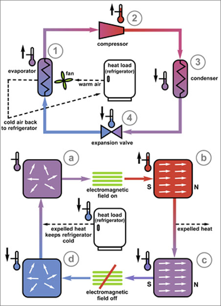 HOW IT WORKS: Conventional and magnetic refrigeration cycles use different physical effects to cool things off. [Top] When a gas is compressed (2), it heats up, but if it is cooled and then allowed to expand (3), its temperature drops much lower than it was originally (4); this principle keeps food in your home refrigerator cool. But a magnetocaloric material [bottom] heats up when magnetized (b); if cooled and then demagnetized (c), its temperature drops dramatically (d).