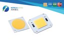 Honglitronic COB: High Luminous Efficacy 155 lm/W