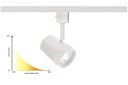 Oculux Dim-to-Warm LED Track Luminaires Debuted by WAC Lighting