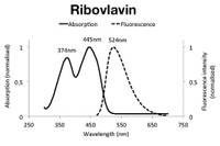 Blue Wavelengths of LED Light Negatively Affect Milk Quality