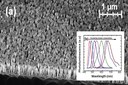 Full-Color InGaN/AlGaN Nanowire Light-Emitting Diodes for SSL and Displays