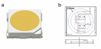 Quantum Dot Based White LEDs for General Illumination