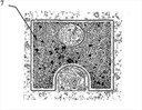 Method of making a vertical light emitting diode