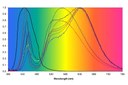 IEA Issues Final Report on Potential Health Issues Related to Solid-State Lighting