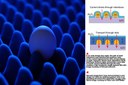 In New Quantum-Dot LED Design, Researchers Turn Troublesome Molecules to Their Advantage