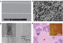 New Options for Transparent Contact Electrodes